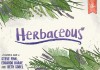 Go to the Herbaceous page