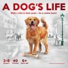 Go to the A Dog's Life page