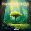 Go to the Photosynthesis page