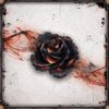 Go to the Black Rose Wars page